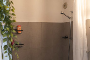 Shower over the bath