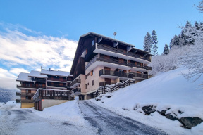 Apartment in the snow